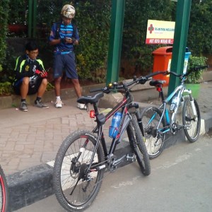 Gowes_CFD