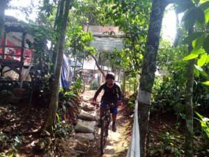 Gowes_Romod C3_1