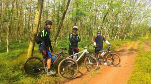 Gowes_Romod C3_3